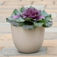 thumbnail image 2 of Root & Vessel Bola Round Planter, Bone, 9", 2 of 4
