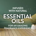 thumbnail image 4 of Air Wick Scented Oils 0+5 Sweet Orange & Lemon, 4 of 5