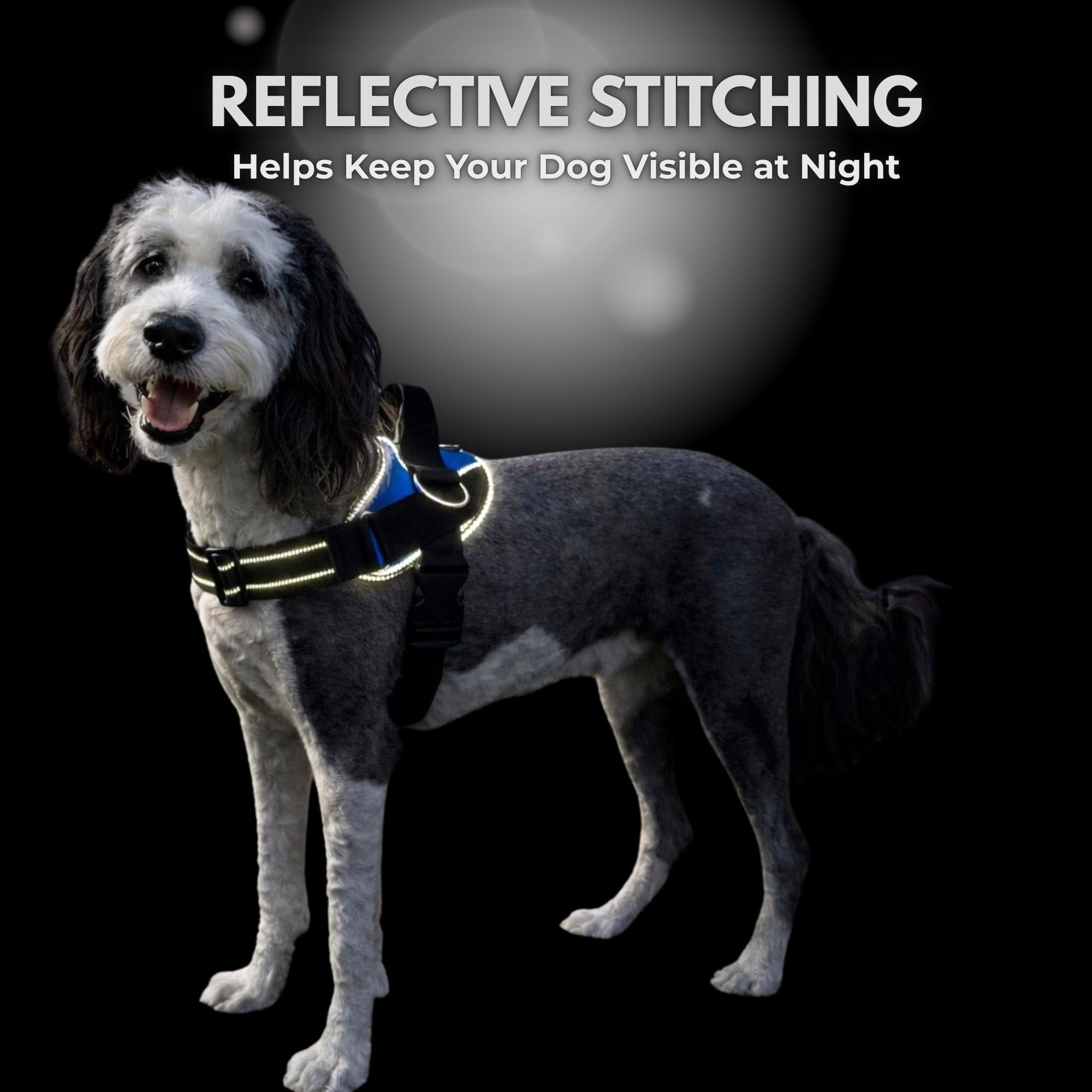 Dog Harness  No-pull Pet Vest With 3 Leash Clips No Choke Reflective Adjustable And Padded For Easy Walking Small Medium Large Dogs (arctic Camo M)