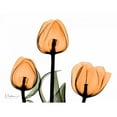 thumbnail image 3 of Koetsier, Albert 18x15 Black Modern Framed Museum Art Print Titled - Tulips Orange, 3 of 5