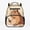 Cute Capybara, variant on Kids Preschool Honeycomb Bee Bag for Children Age 3-5, 13.5 Inch Toddler Kindergarten Backpack, Large Capacity Durable School Pack