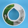 thumbnail image 3 of Vainas Con Sabor A Botella Cápsulas Con Sabor A Aire Creativo Con Fragancia (leche) 10 Uds., 3 of 6