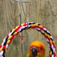 thumbnail image 2 of Round Hanging Ring Climbing Bite Resistant Cotton Rope Swing Toy for Pet Bird Parrot Specification:Small 8cm, 2 of 7