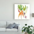 thumbnail image 3 of Trademark Fine Art 'Harvest Medley IV' Canvas Art by Chariklia Zarris, 3 of 3