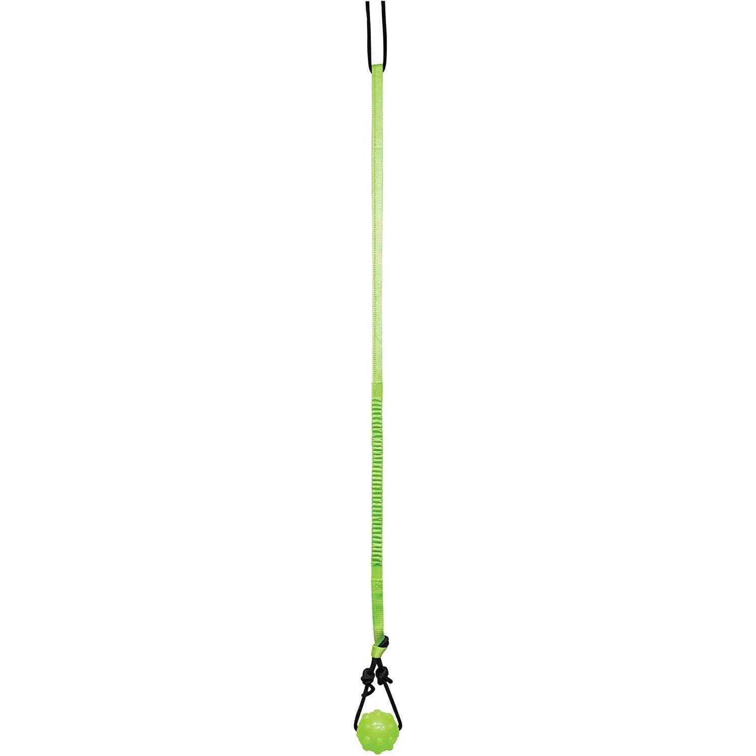 Jolly Pets JP071 Jolly Pets Tree Tugger Bungee, Green - Large