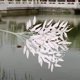 thumbnail image 4 of High Grade Artificial Flowers Artificial Flowers Home Decoration Plastic Flowers Fake Flowers Decorative Flowers, 4 of 6