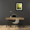thumbnail image 3 of Karthik 20x24 Black Ornate Wood Framed with Double Matting Museum Art Print Titled - The ElusIVe Long Tailed Weasel With Eyes Closed, 3 of 4