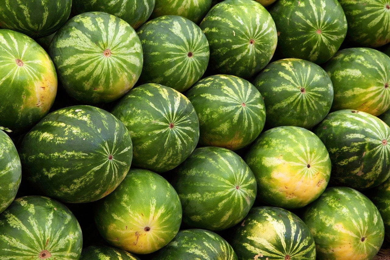 Omura Watermelon Juice | The Ultimate Hydration Watermelon Juice 11.3 Fl. Ounces