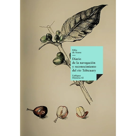 Historia-Viajes Diario de la navegación y reconocimiento del rÃo Tebicuary, Book 42, (Paperback)