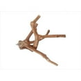 thumbnail image 1 of A&E Cage AE6002M 22 X 1.6 Po. Moyen Multi-Branche, 1 of 1