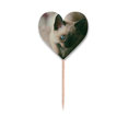 thumbnail image 1 of Animal ojo azul gatito gris fotografía Etiqueta del corazón de la bandera del palillo de dientes, 1 of 3