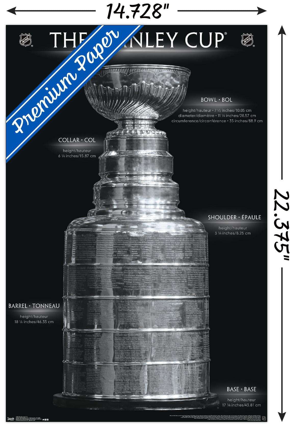 NHL League - Stanley Cup 16 Wall Poster, 14.725" x 22.375"
