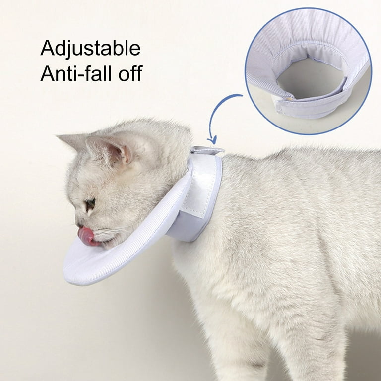 Cone collar walmart online