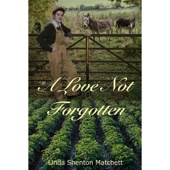 A Love Not Forgotten (Paperback)