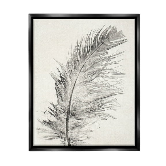 Stupell Industries Boho Windswept Feather Animals & Insects Painting Black Floater Framed Canvas Art Print Wall Art, 17 x 21