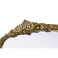 thumbnail image 4 of Elegant Decor Naomi Vintage Resin Mirror 24x60 in Antique Brass, 4 of 7