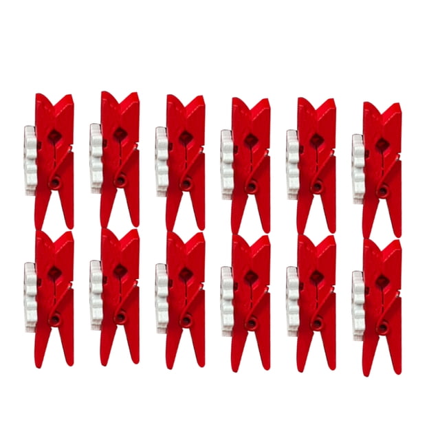Inteprter Clips de fotos de 100 piezas, decoraciones de boda portátiles simples, miniabrazaderas de útiles y exquisitas para patios de fiesta en Artesanía Tipo 1 Inteprter HA059968-01