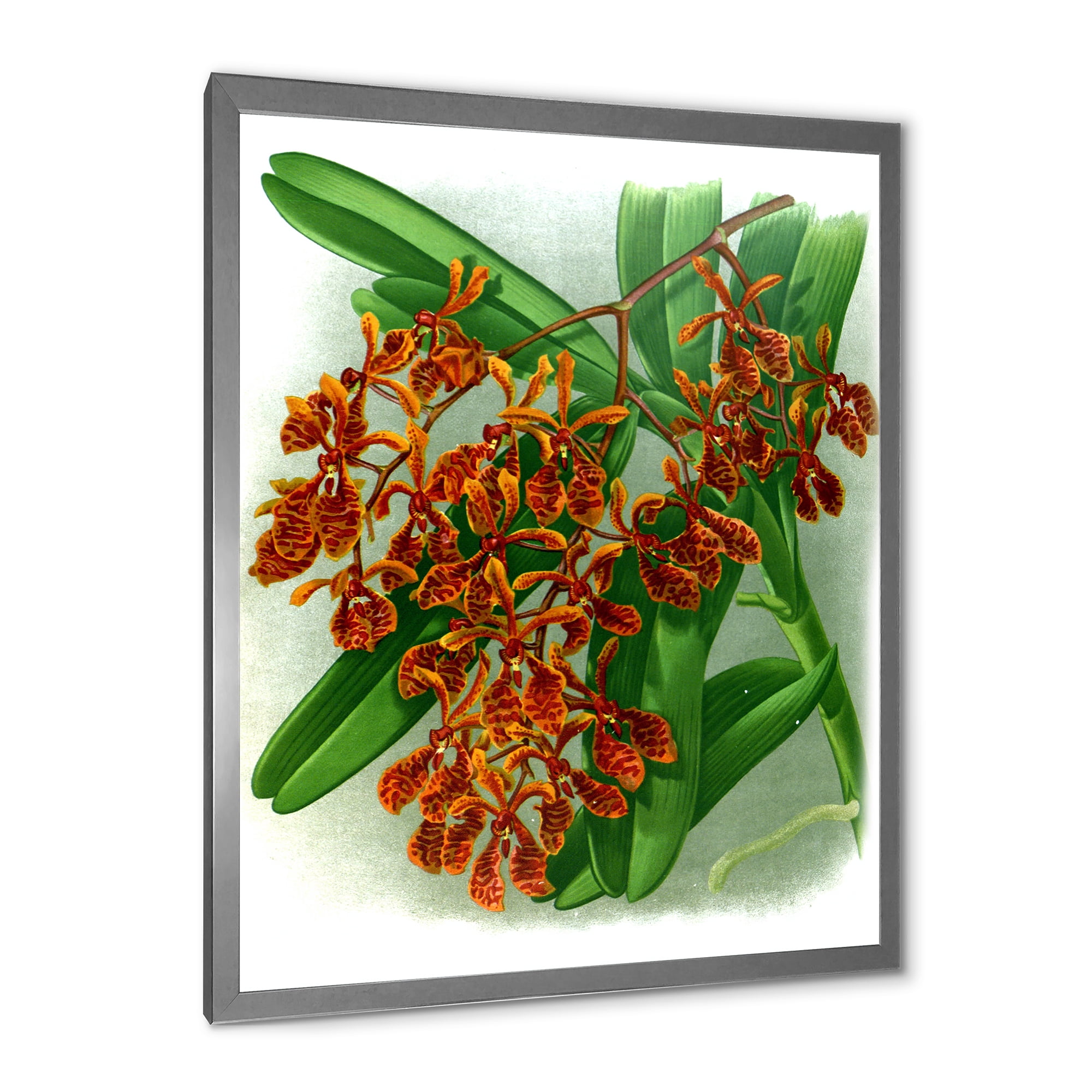 Designart 'Flowers Retro II' Farmhouse Framed Art Print