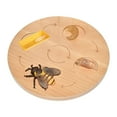 thumbnail image 2 of Life Cycle Board Science Realistic Educational Teaching Model Cognitive Toy bee, 2 of 8