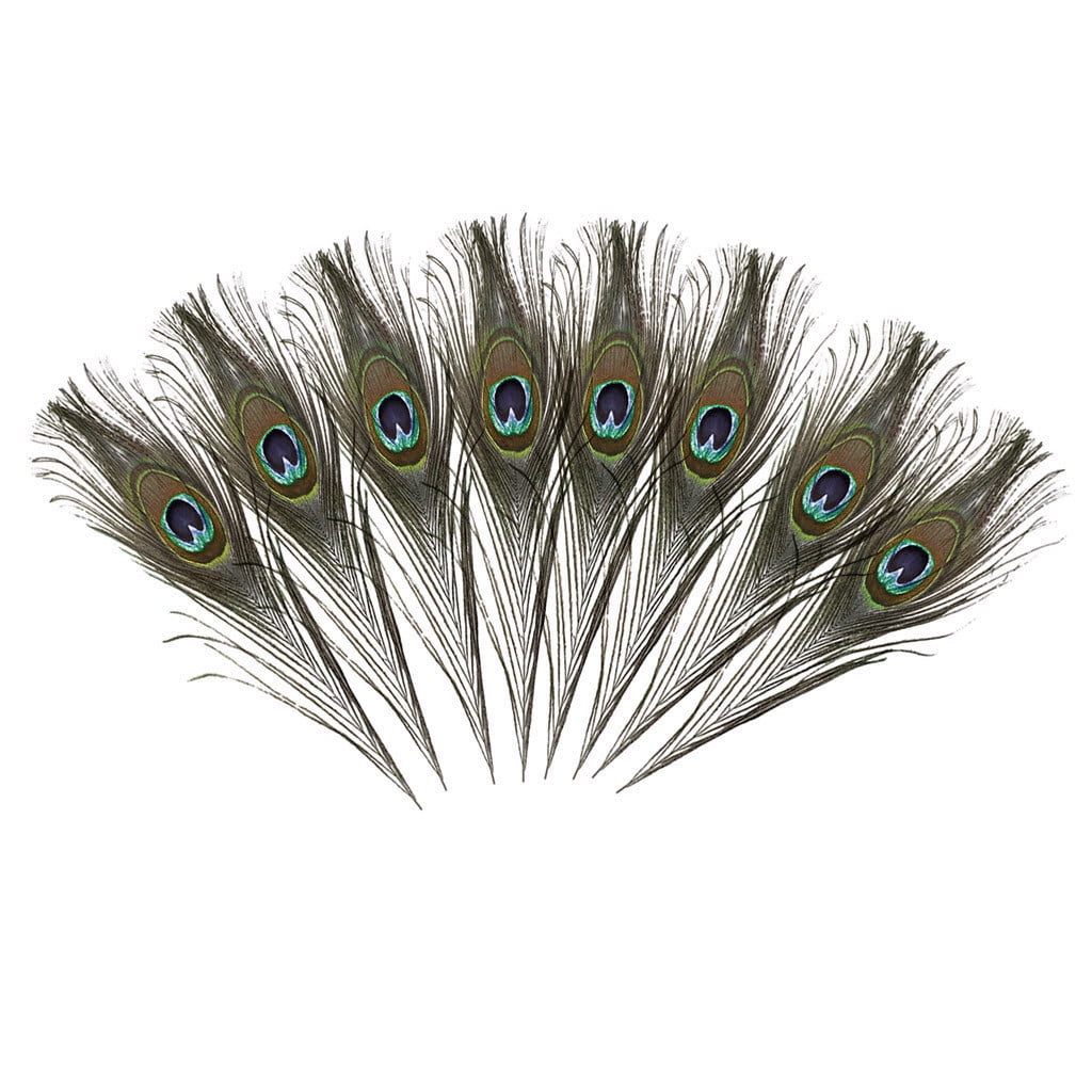 10PCS Natural Real Peacock Tail Eye Feathers DIY Crafts Set  23-30cm/10-12Incheso