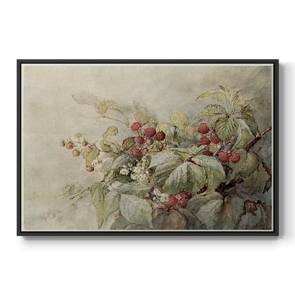 Vintage Botanical Print-V By Wexford Home Framed in Black Wood Gallery Wrapped Canvas 17 in. x 25 in.
