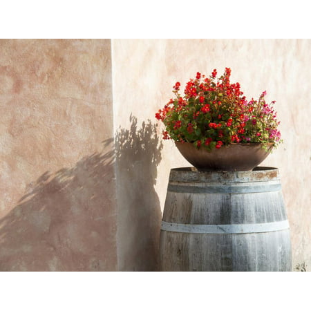 Europe, Italy, Tuscany. Flower Pot on Old Wine Barrel at Winery Print Wall Art By Julie