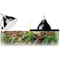 thumbnail image 4 of Exo Terra Intense Basking Spot Lamp: Precision Heat Source for Reptiles and Amphibians, 4 of 4