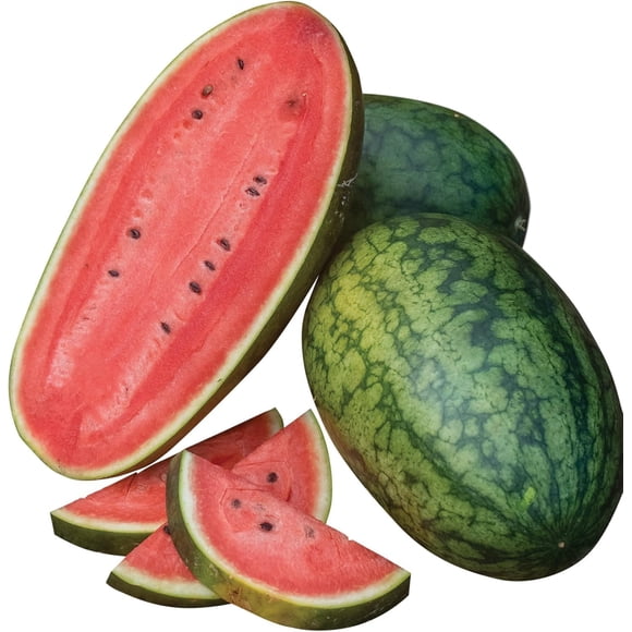 GSDWIUEW Mama s Girl Watermelon Seeds, 25 Seeds, Sweet and Juicy Compact Variety