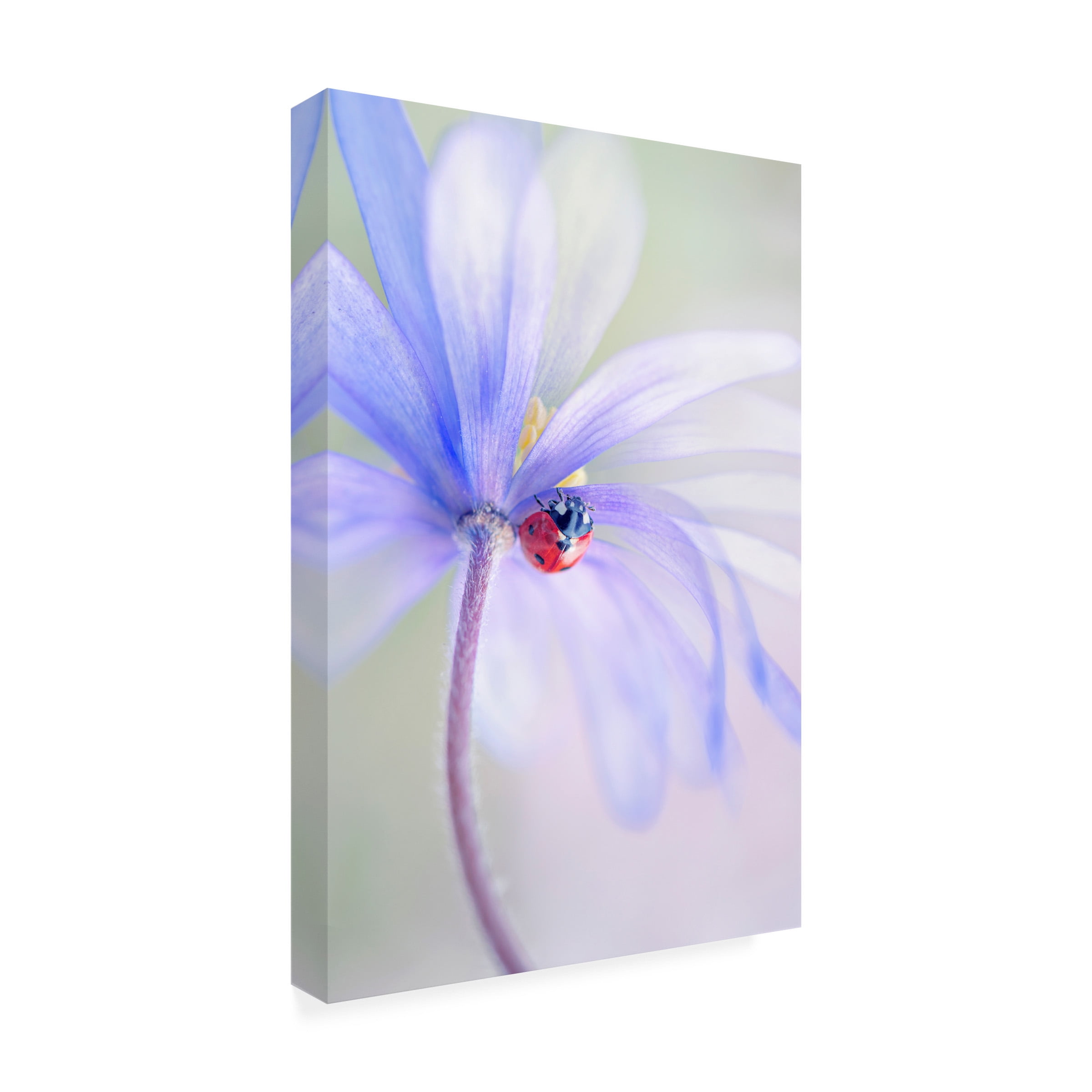 Jacky Parker 'Spring Lady' Canvas Art