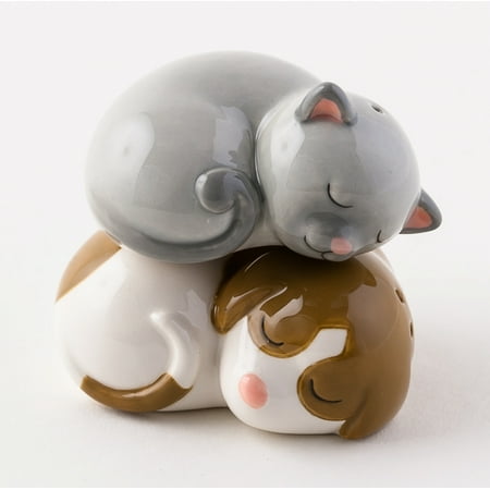 Puppy Dog and Gray Kitty Cat Best Friends Magnetic Salt and Pepper Shaker (The Best Of Cathouse)