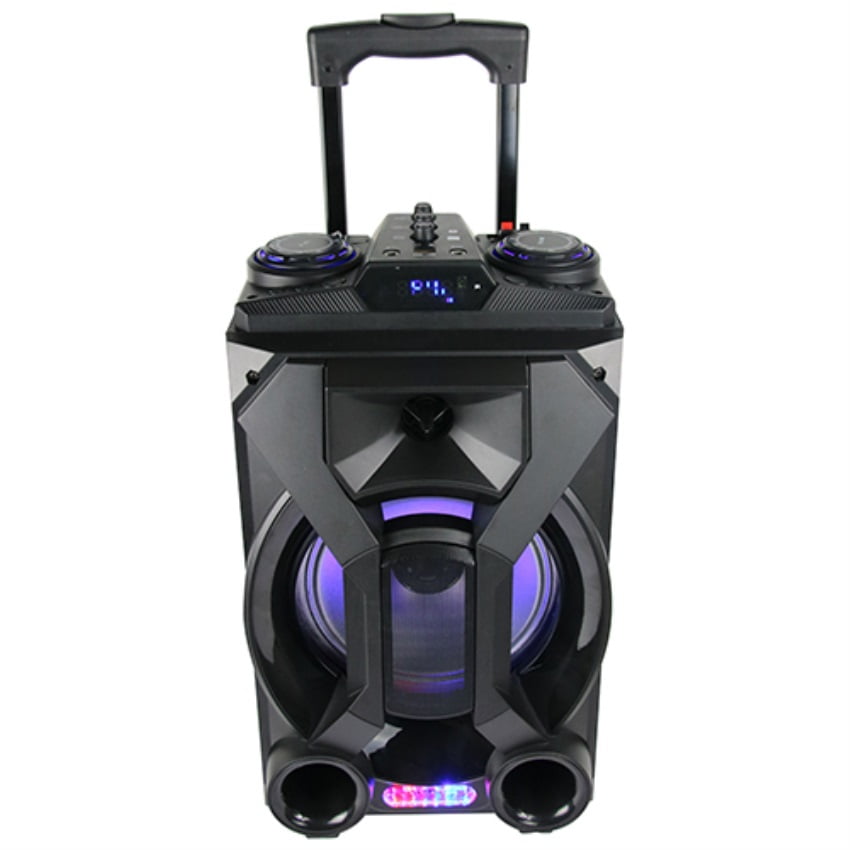 8" Portable Party Speaker