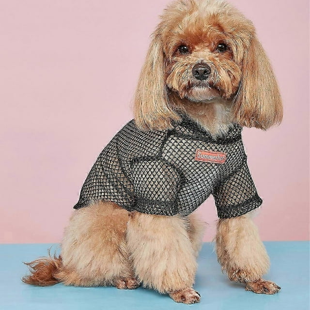 Pet Summer Thin Shirts Small and Medium-sized Dogs Outdoor Sun Protection Breathable Shirts
