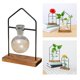 thumbnail image 4 of Maceta hidropónica para plantas, transparente, de madera, para escritorio Soltero, 4 of 9
