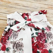Kayannuo Baby Girl Clothes Long Sleeve Fall Winter Newborn Baby Girl Clothes Infant Outfits Ruffle Sleeve Romper Bodysuit Floral Pants Toddler Girl Outfits,Red