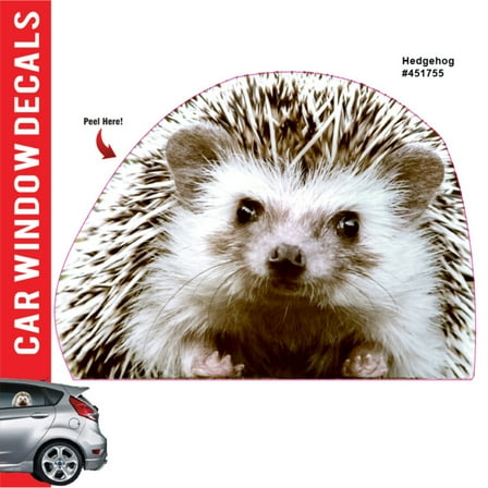 Car Window Decal - 3D - (Hedgehog)