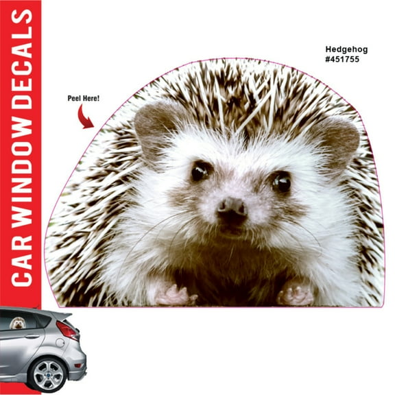 Car Window Decal - 3D - (Hedgehog)