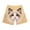 3-Beige, variant on Summer Casual Shorts for Men Funny Cute Pet 3D Graphic Print Loose Fit Daily Leisure Shorts Plus Size Relaxed Elastic Waisted Soft Comfortable Workout Short Pant 6-Beige S