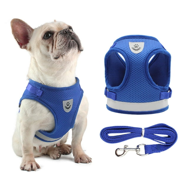 Dog Harness and Leash Set with Reflective Adjustable Mesh Vest for Small Dogs and Puppies