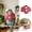 B, variant on 5 Pack Bird Recovery Collars, Lightweight EVA Anti-Peck Neck Protector, Flexible Buckle Lock, for Lovebirds Parrots Post Injury Grooming, Smooth Easy to Clean