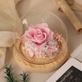 thumbnail image 2 of Preserved Real Flower Glass Dome Eternal Carnation Rose Display For Home Tabletop Decor Gift, 2 of 9