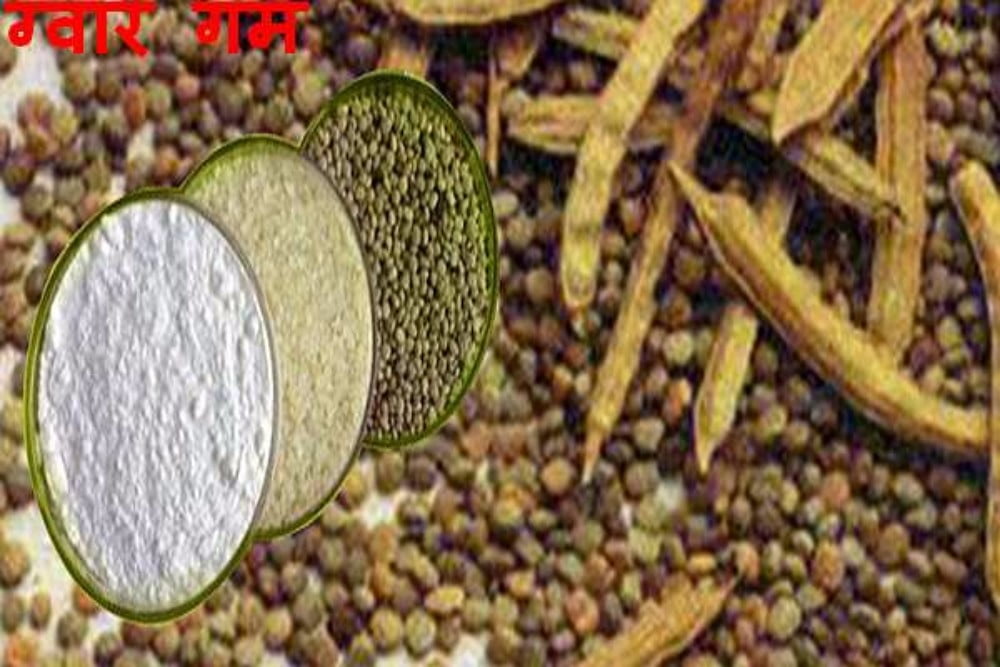 Guar Gum 200 Mesh