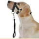 thumbnail image 2 of Halti Head Collar Dog Training Obedience Stop Pulling On Lead No Pull Solutionl, 2 of 5