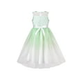 thumbnail image 2 of Girls Dress Gradient Green Lace Embroidery Bodice Glitter Sleeveless 10 Years, 2 of 6
