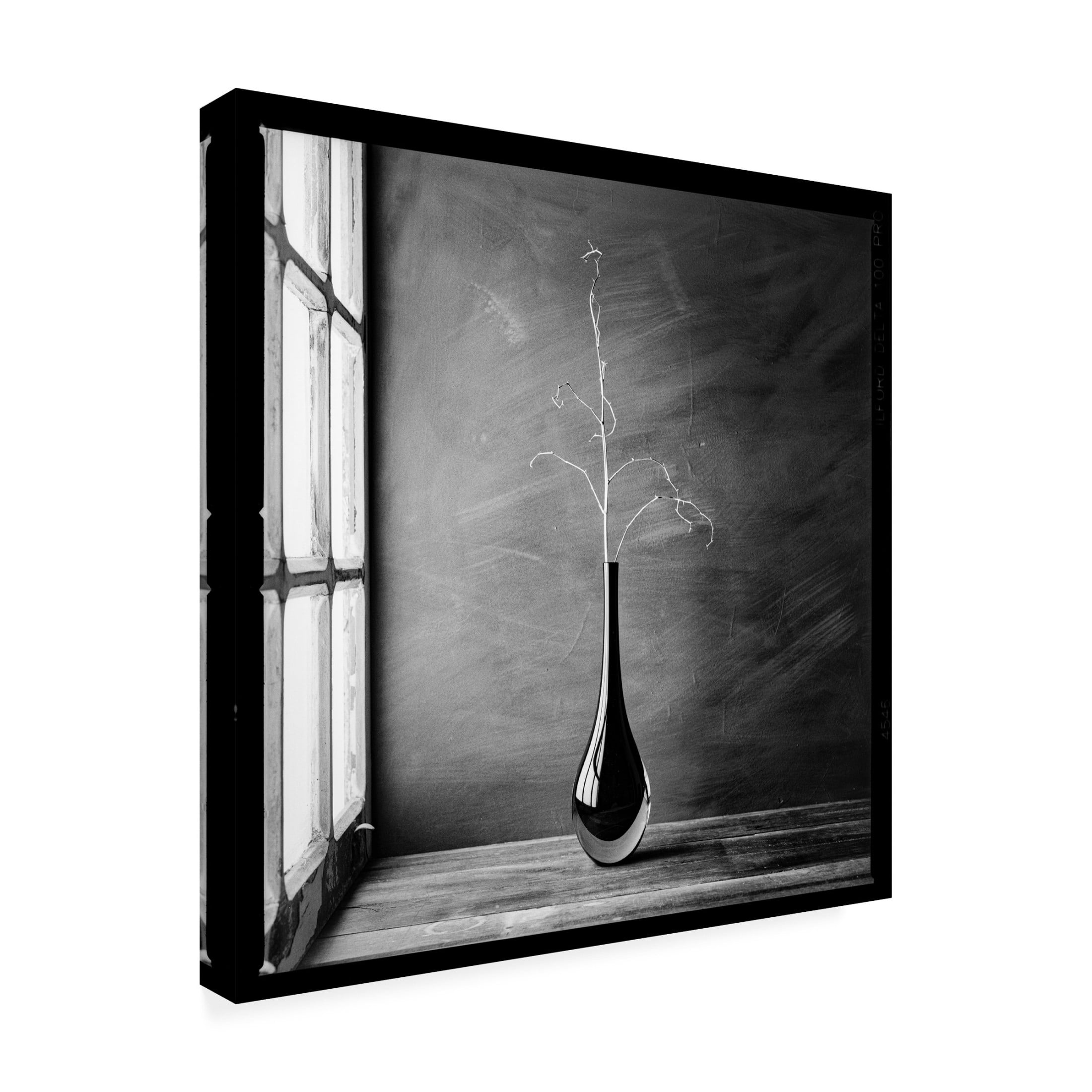 Canvas Wall Art - Luiz Laercio 'Hard Days' Wall Art for Living Room, Bedroom, or Office Décor by Trademark Fine Art - 18 x 18 Inches