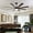 Black + Dark Walnut, variant on Tower Fan 72" Ceiling Fan with Light, 6-Speed Remote Control, Reversible DC Motor, Modern 8 Blades with 6"/12"/19.5" Downrods for Home or Commercial Black/Walnut,Box Fan
