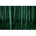 thumbnail image 2 of Startonight Canvas Wall Art Black and White Abstract Army of Trees, Dual View Surprise Artwork Modern Framed Ready to Hang Wall Art 100% Original Art Painting 31.5 x 47.2 inch, 2 of 9