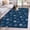 Blue, variant on Brown Daisy Area Rug 4x6 Washable Rug Non Slip Modern Farmhouse Chrysanthemum Floral Large Area Rug Indoor Floor Carpet for Entryway Bedroom Kitchen Living Room Home Office Dining Room Nursery
