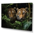 thumbnail image 2 of Designart "Tigers In Asian Painting II" Asian Art Wall Decor, 2 of 5