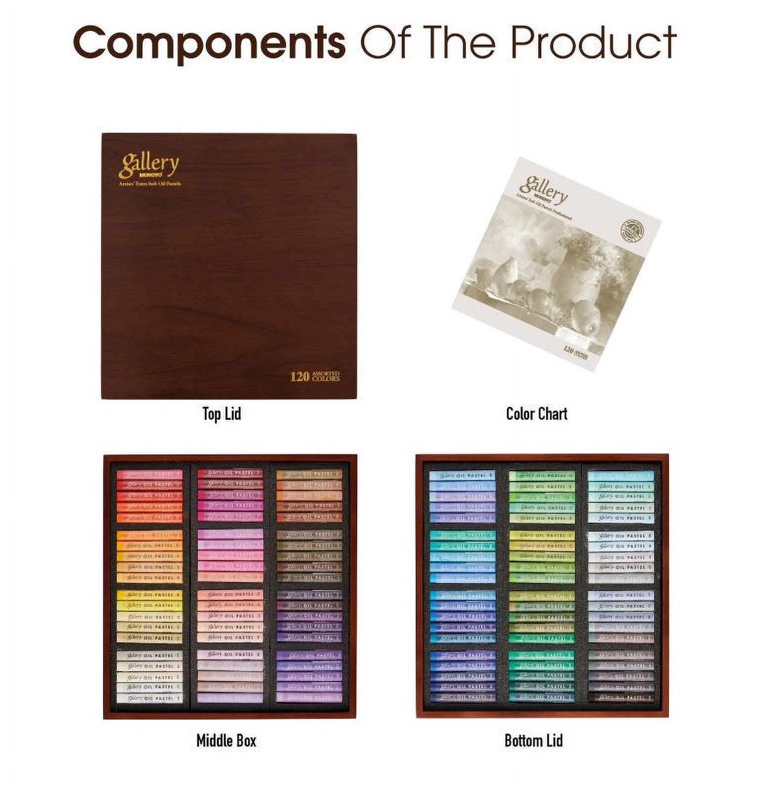 Mungyo Gallery Soft Oil Pastels 120色+48色 Amazon.com: MUNGYO Gallery Artists' Soft Oil Pastels