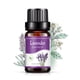 thumbnail image 4 of Aceites esenciales de aceite soluble en agua de 10 ml para difusor de humidificador (lavanda) Likrtyny  Para estrenar, 4 of 8